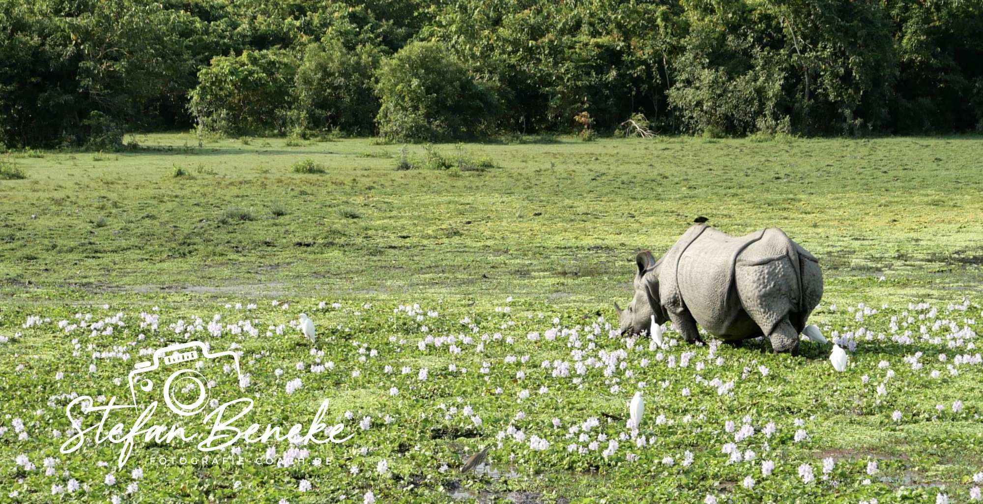 Heute ist World Wildlife Day